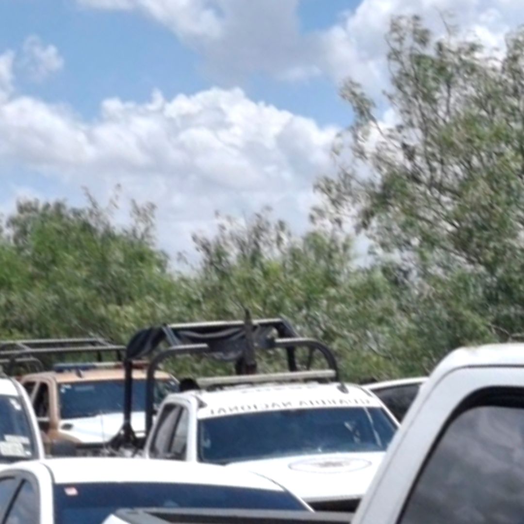 Colectivo Localiza Restos Óseos Reynosa